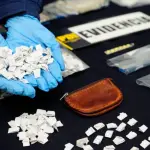 Más de 3.500 dosis de droga fueron incautadas por detectives de la PDI / Contexto, PDI Biobío