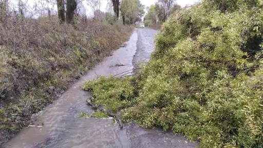 Lluvias y vientos provocan emergencias en Santa Bárbara y Cabrero con despliegue de equipos en terreno