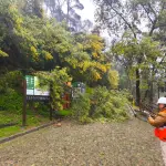 Tres parques fueron cerrados en la región del Biobío., Seremi de Vivienda y Urbanismo del Biobío 