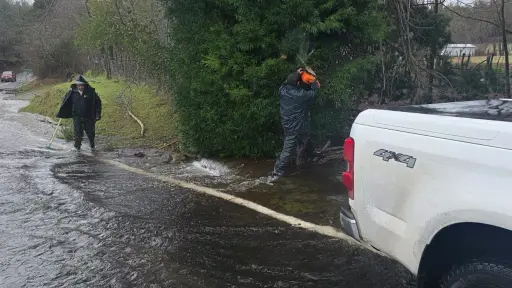 Emergencias en Biobío: balance deja un trabajador fallecido, caída de árboles y cortes de luz en la provincia