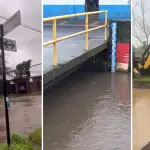 Contexto, La Tribuna