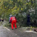 Despeje de ruta, Municipalidad de Santa Bárbara