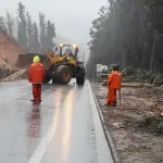 Trabajos de Vialidad en despeje de ruta, MOP