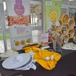 Tres días de miel, gastronomía y turismo: así será la II API EXPO Santa Bárbara 2026, La Tribuna 