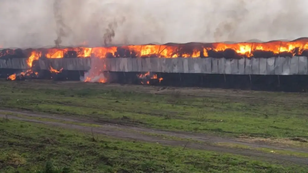 AHORA: Activan primera alarma por incendio de galpón de fardos en empresa avícola de Los Ángeles, Cedida
