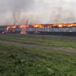 AHORA: Activan primera alarma por incendio de galpón de fardos en empresa avícola de Los Ángeles, Cedida