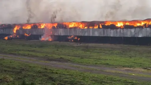 AHORA: Activan primera alarma por incendio de galpón de fardos en empresa avícola de Los Ángeles