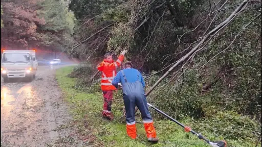 Rutas del Biobío se mantienen operativas, aunque Vialidad llama a conducir con precaución por desprendimientos y cortes parciales