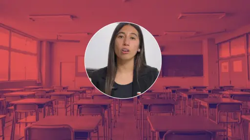 Opera para particulares y públicos: Seremi del Biobío detalla el alcance de la suspensión de clases para este miércoles