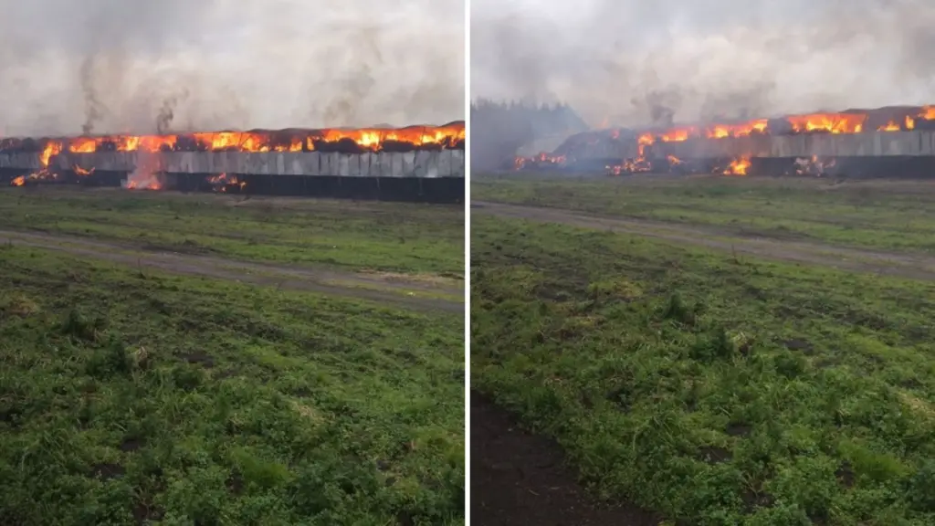 Más de 60 bomberos combatieron incendio que destruyó galpón en avícola de Los Ángeles, La Tribuna