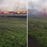 Más de 60 bomberos combatieron incendio que destruyó galpón en avícola de Los Ángeles, La Tribuna