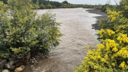 DGA: Río Pichilo continúa sobre Alerta Azul, pero sus niveles siguen descendiendo