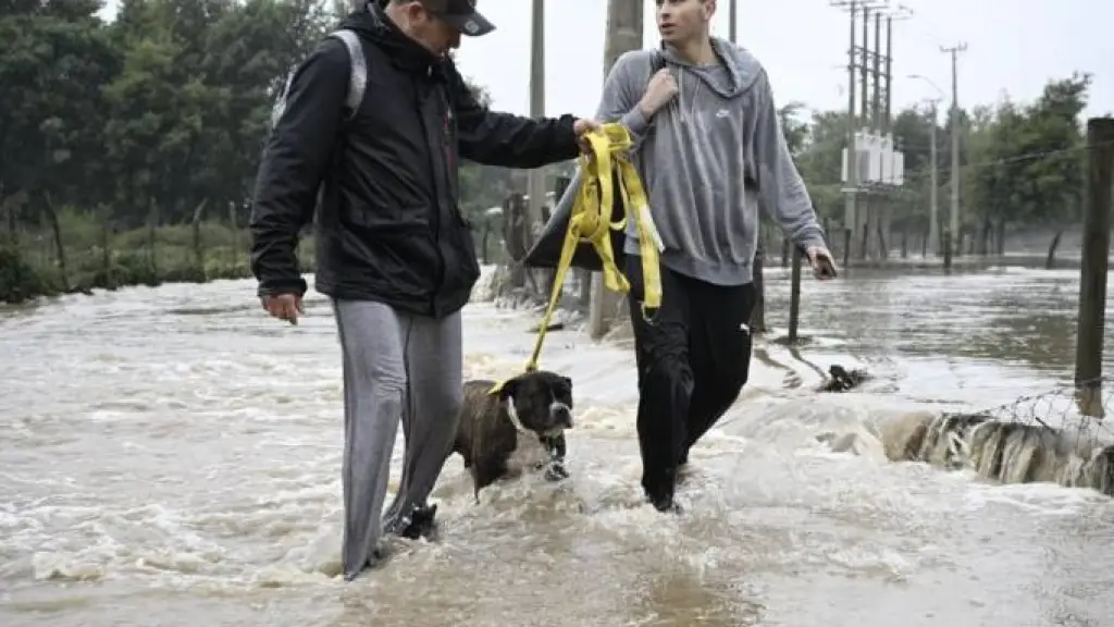 Colmevet llama a incluir a los animales en los planes de emergencia por sistema frontal en 10 regiones, paislobo.cl