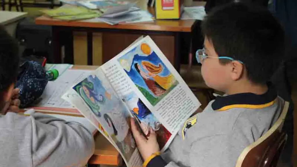 El programa contempla una evaluación nacional de lectoescritura en segundo básico, capacitación docente y nuevas herramientas pedagógicas para reducir el rezago y fortalecer la convivencia escolar., contexto