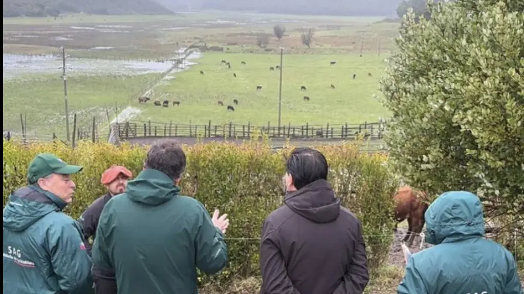 Autoridades del sector agro evalúan implementación de trazabilidad animal en Arauco, Instagram