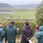 Autoridades del sector agro evalúan implementación de trazabilidad animal en Arauco, Instagram