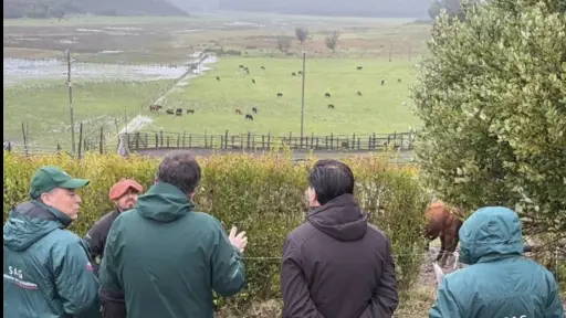 Autoridades del sector agro evalúan implementación de trazabilidad animal en Arauco