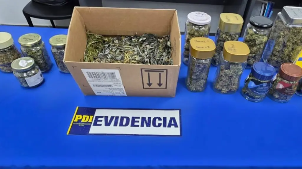 Operativo de la PDI en Dichato, PDI Biobío