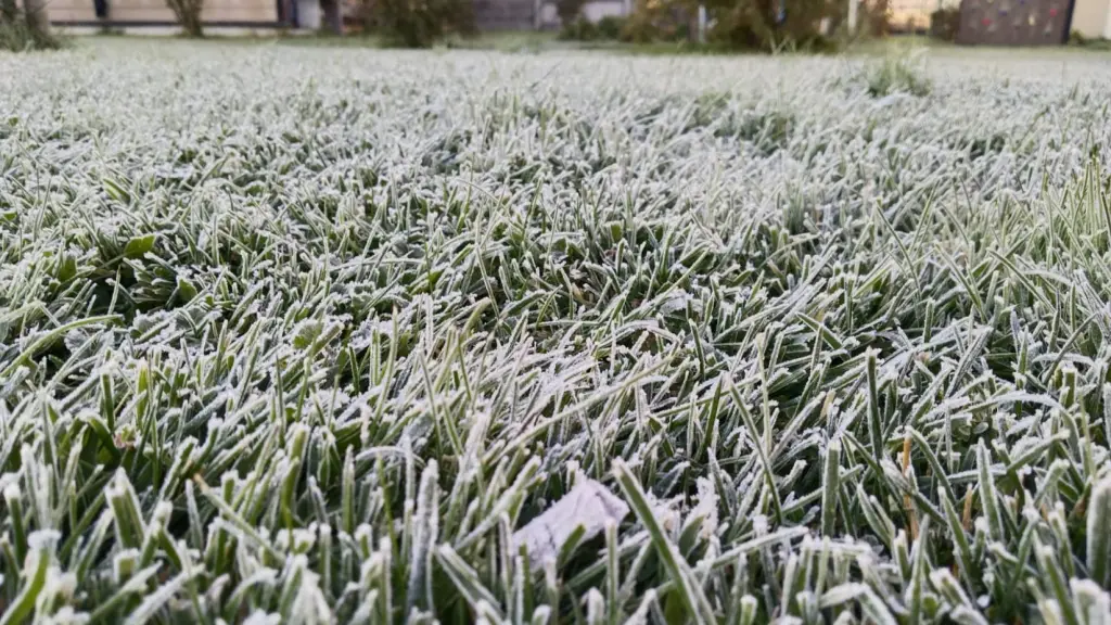 La estación María Dolores registró una temperatura mínima de -4,1 °C durante la mañana de este lunes., Diario La Tribuna