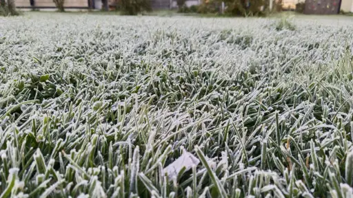 Frío extremo marca el inicio de la semana en Los Ángeles: temperatura llegó a -4,1 °C y se pronostican lluvias desde este martes