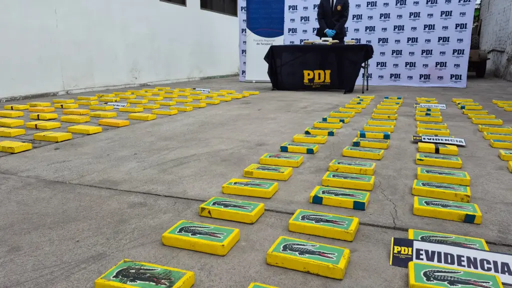 Del total de sustancias incautadas, más de 186 kilos corresponden sólo a clorhidrato de cocaína., Ministerio Público