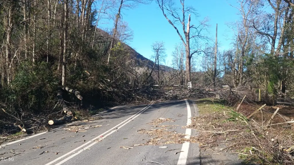 Antuco, Santa Bárbara y Quilaco afectados por viento Puelche: viviendas dañadas y cortes de luz en la cordillera de Biobío, cedida