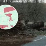 Más de 7.500 clientes continúan sin electricidad en la provincia de Biobío tras intensas ráfagas de viento, La Tribuna