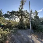 Viento puelche afectó a la zona precordillerana y cordillerana de la Provincia de Biobío, Cedida
