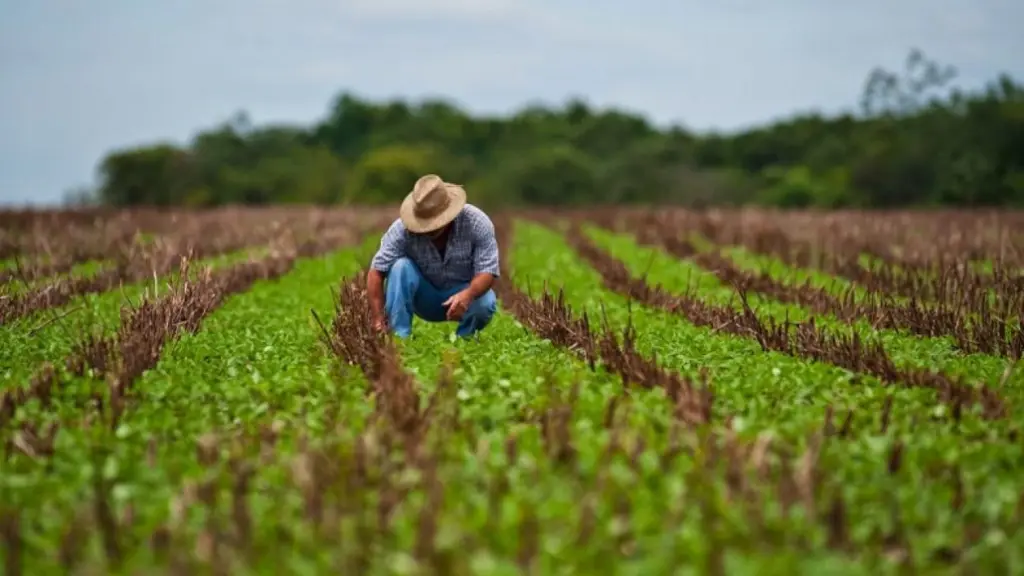 En el seminario sectorial, gremios abordaron los desafíos de la temporada 2026-2027, el plan para incorporar 100.000 hectáreas de riego mediante plantas desaladoras y la reconversión vitivinícola que redujo 30.000 hectáreas de viñedos., contexto
