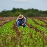 En el seminario sectorial, gremios abordaron los desafíos de la temporada 2026-2027, el plan para incorporar 100.000 hectáreas de riego mediante plantas desaladoras y la reconversión vitivinícola que redujo 30.000 hectáreas de viñedos., contexto