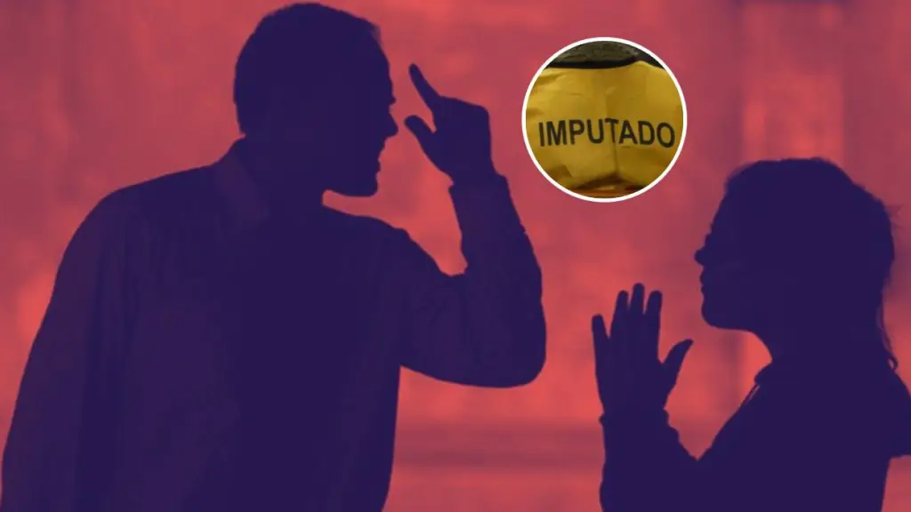 La justicia le prohibió al sujeto el acercamiento a la victima y desalojo del hogar, Contexto