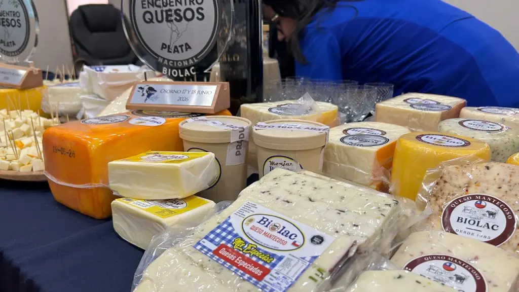 Negrete lanza la V Feria Costumbrista del Queso y la Miel orientada a la reactivación económica local | Diario La Tribuna