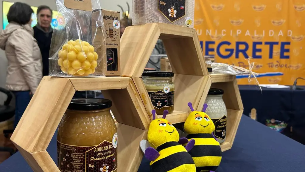 Negrete lanza la V Feria Costumbrista del Queso y la Miel orientada a la reactivación económica local | Diario La Tribuna