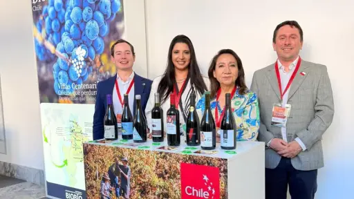 Despertar del enoturismo en Biobío: la estrategia que busca transformar la economía rural tras exitosa gira por Europa