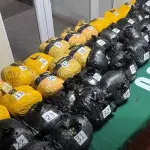  \'Se están realizando las diligencias para determinar el origen y el destino de la droga incautada., Carabineros de Chile