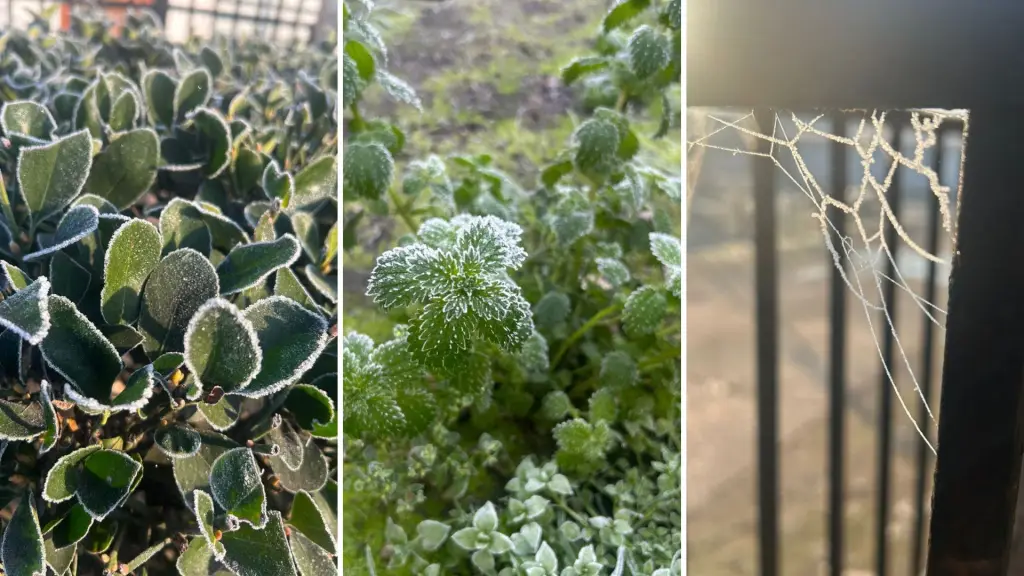 Los Ángeles y Mulchén marcaron las temperaturas más bajas del año este viernes, La Tribuna