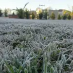 El inicio de mes contará con bajas temperaturas y fuertes ráfagas de viento, Contexto