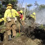 Conaf Biobío prohíbe el uso de fuego para eliminar desechos agrícolas y forestales, internet