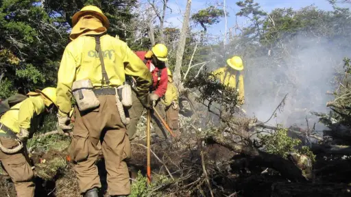 Conaf Biobío prohíbe el uso de fuego para eliminar desechos agrícolas y forestales 