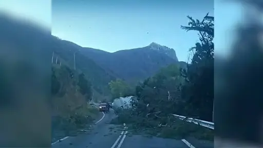 Fuerte viento puelche provoca caída de árboles y cortes de energía en Santa Bárara y Alto Biobío