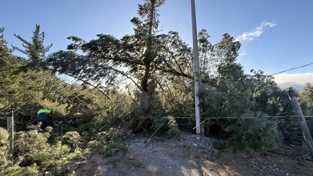 Viento Puelche, Municipalidad de Antuco