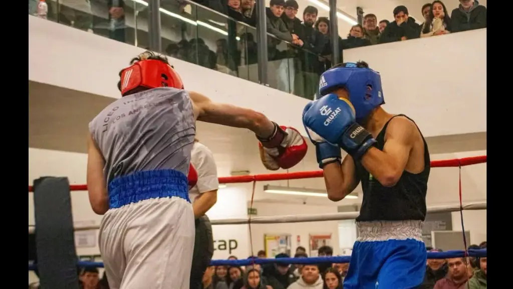Jóvenes boxeadores de Santa Bárbara, Laja, Mulchén y Los Ángeles protagonizaron una exitosa velada pugilística en INACAP Los Ángeles, La Tribuna