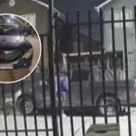 \'Me asomé y la camioneta ya no estaba\': Delincuentes robaron vehículo en 40 segundos en Los Ángeles, La Tribuna