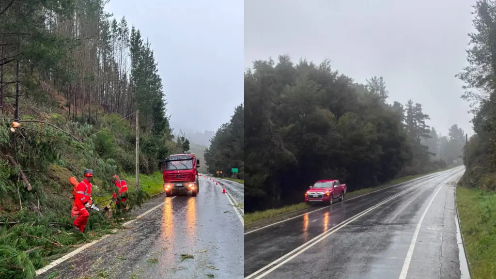Ruta de la Madera, MOP