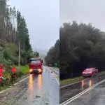 Ruta de la Madera, MOP