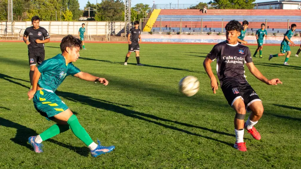 Anfa Biobío - Los Ángeles debutará enfrentando a Cabrero en una competencia que comenzará el 5 y 6 de septiembre y entregará boletos a los Campeonatos Nacionales del próximo verano, La Tribuna