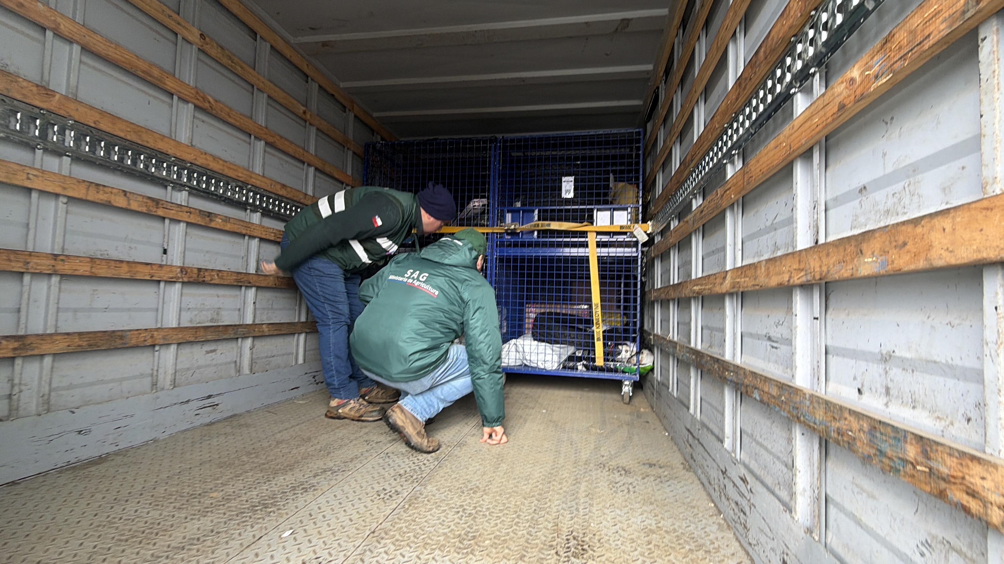 Los controles del SAG buscan impedir el ingreso de papas provenientes de zonas no autorizadas, resguardando el estatus sanitario de la provincia de Arauco como área libre de enfermedades cuarentenarias del cultivo. / SAG