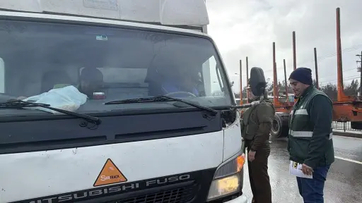 SAG decomisa más de 8,5 toneladas de papas en fiscalizaciones para proteger zona libre de enfermedades en Arauco