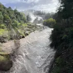 Salto del Laja en julio, Cedida