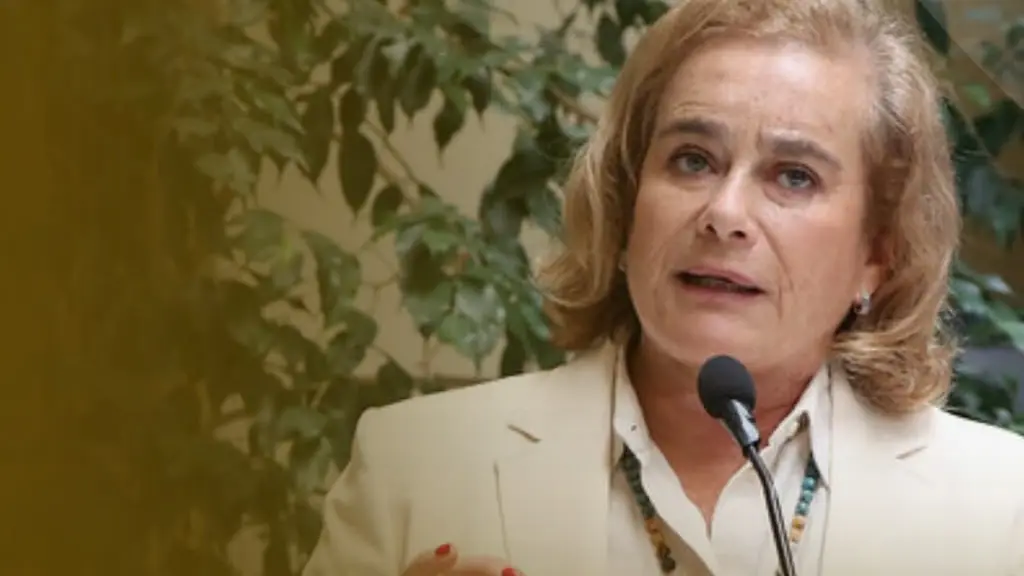 Flor Weisse destaca proyecto que entrega nuevas facultades a las Fuerzas Armadas en Estados de Excepción.